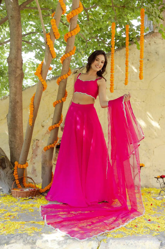 Rani Magenta Pink Detailed Lehenga Set