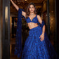 Actress Alaya F Blue Crop Top  Lehenga Choli