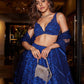 Actress Alaya F Blue Crop Top  Lehenga Choli