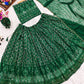 Green Chikankari Lehenga Set With Choli & Dupatta by Shree Fashion