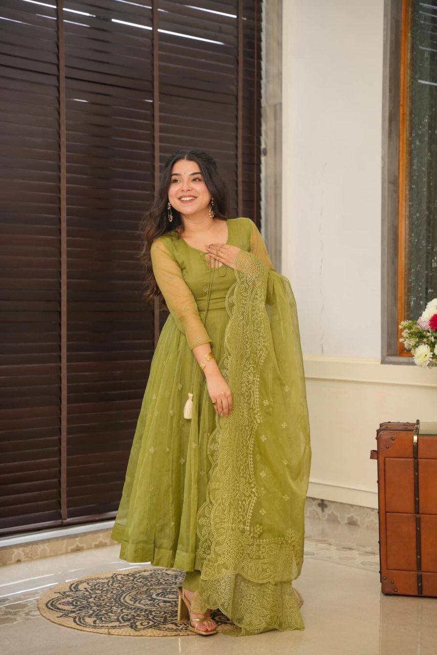 Green Organza Suit Set -Buy Shree Fashion