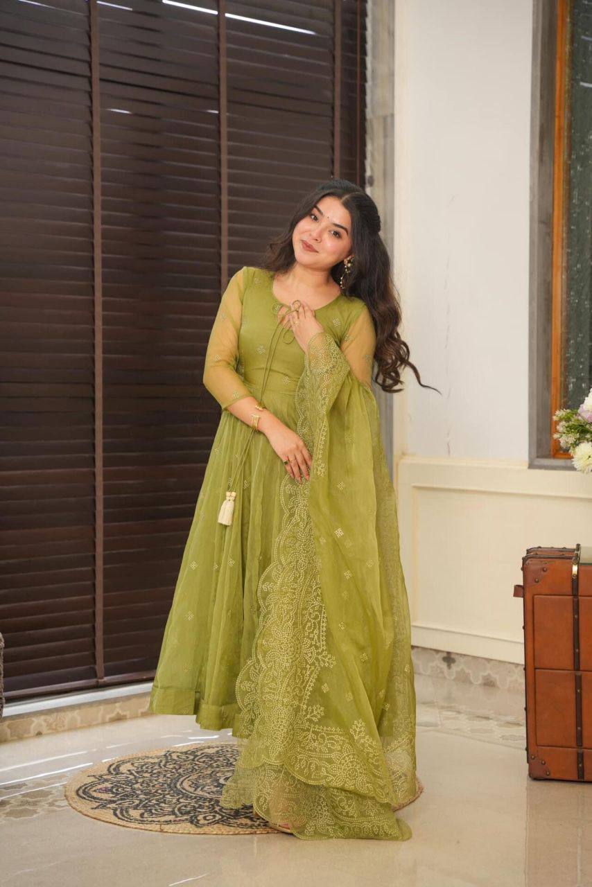 Green Organza Suit Set -Buy Shree Fashion