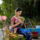 Elegant Blue Soft Banarasi Silk Saree