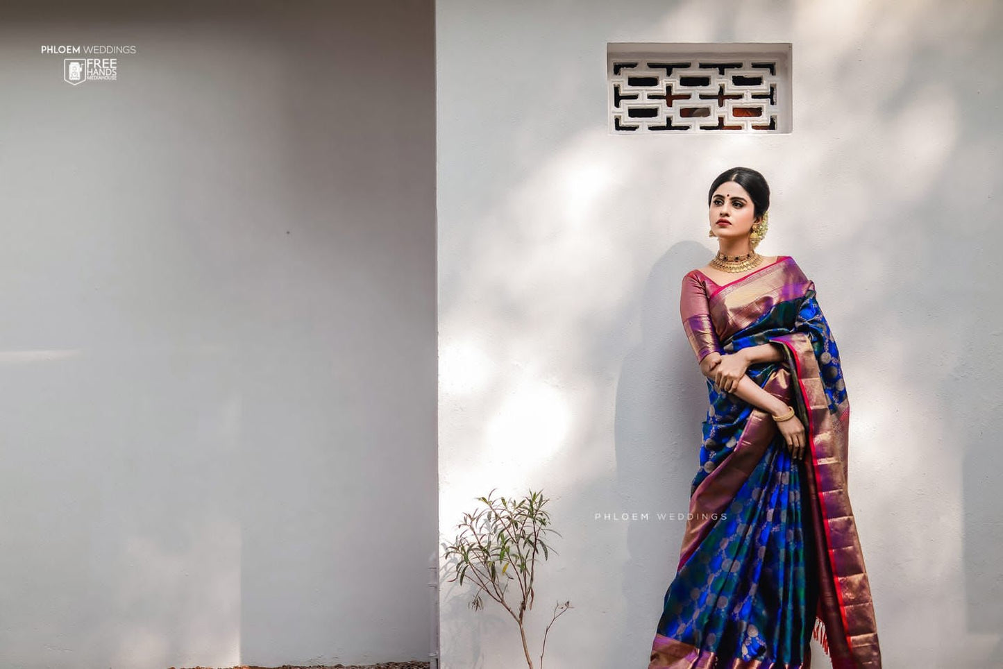 Elegant Blue Soft Banarasi Silk Saree